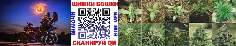 Купить где  Можайск  МАРИХУАНА гибрид 